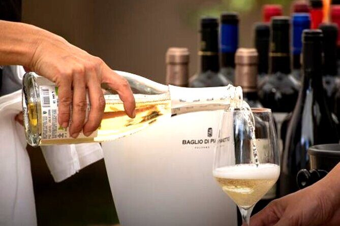 Sicilian Winery Tour with Wine Tasting from Palermo - Should you book the Sicilian Winery Tour with Wine Tasting from Palermo?
