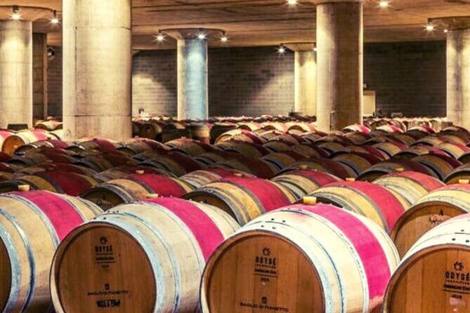 Sicilian Winery Tour with Wine Tasting from Palermo - Baglio di Pianetto: the vineyard-to-bottling part that makes the tasting make sense