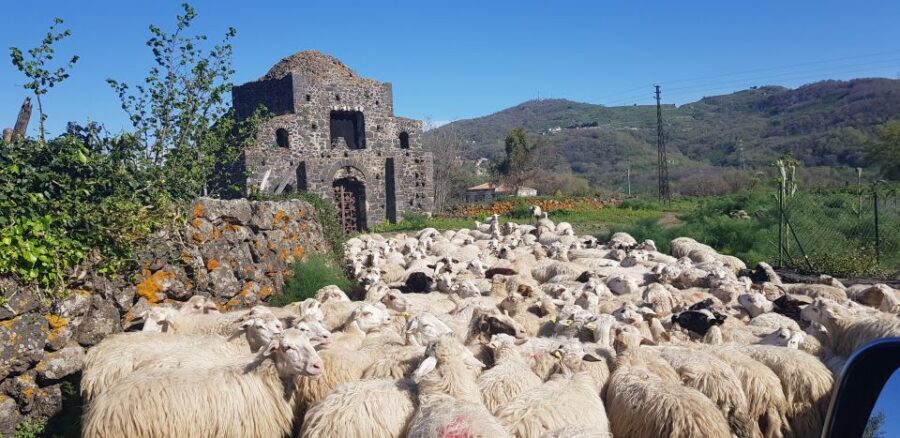 Sicily: Mount Etna 4x4 Jeep Tour with Lava Caves & Forests - Sartorius Mountains and the 60-minute lateral crater trek
