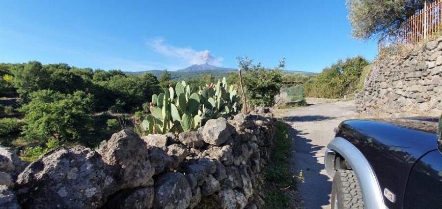 Sicily: Mount Etna 4x4 Jeep Tour with Lava Caves & Forests - Value and who this private Etna tour fits best