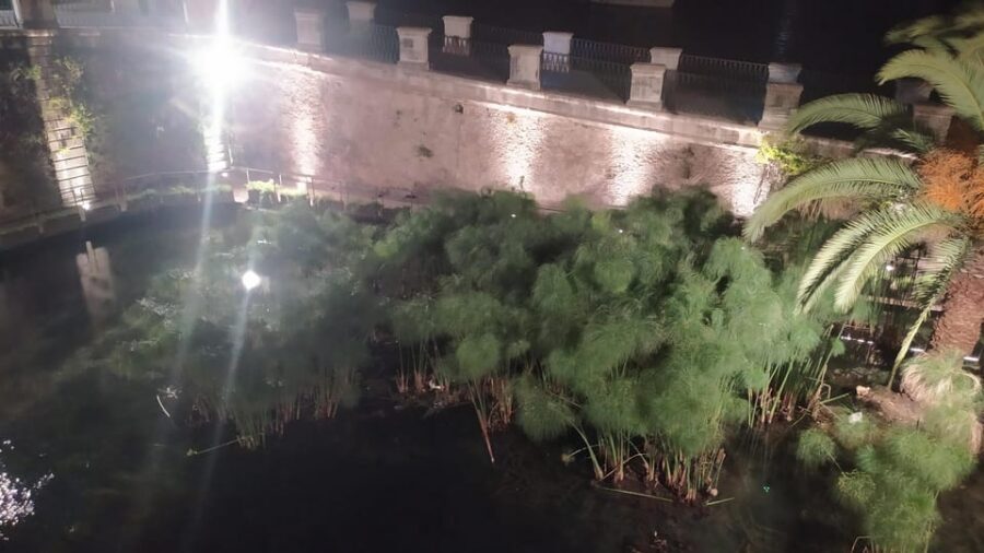 Siracusa Tour: Ortigia by Night in English - Via Dione and Palazzo Montalto: small streets, quick meaning