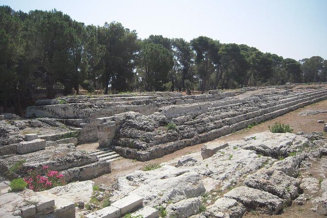 Syracuse's Archaeological Park Private Walking Tour - Who should book this Neapolis private walking tour