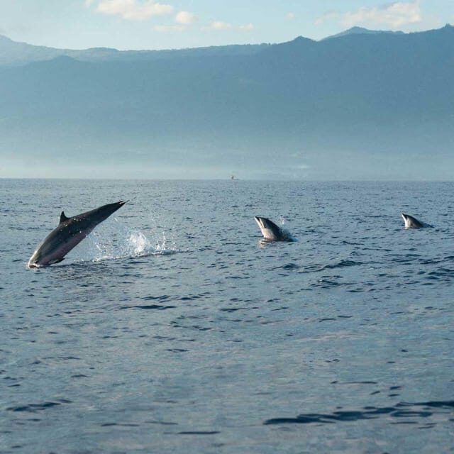 Taormina: Private Boat Tour with aperitif - Price and Value: What $424.82 Per Person Buys You