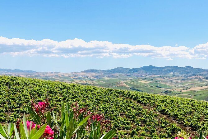Tastes of the Weekend: Friday Sunset and Saturday Lunch - The picnic basket: Sicilian comfort food done right
