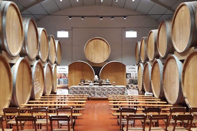 Tasting in the historic cellar of Marsala - 14 wines explained, but tasted your way