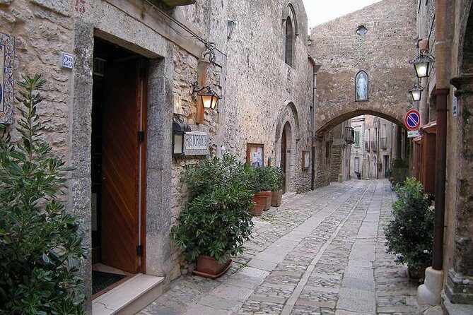 The best of the West Segesta, Erice, Trapani Saline, Full-Day Tour from Palermo - Museo del Sale and the Trapani salt area: craft you can see up close