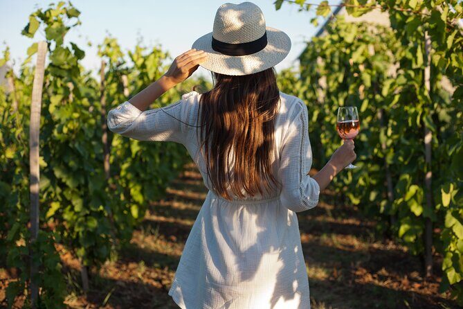 Tour Etna & Wine Tasting - Key highlights worth marking on your map