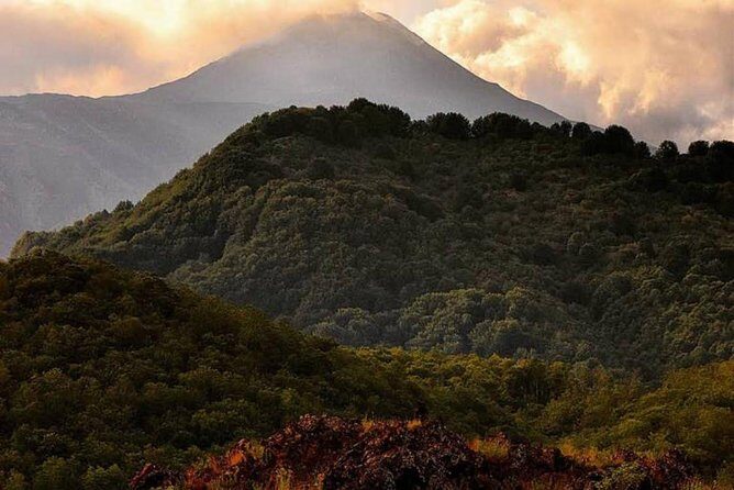 Tour Etna & Wine Tasting Private - Small-group pacing: when you want personal attention