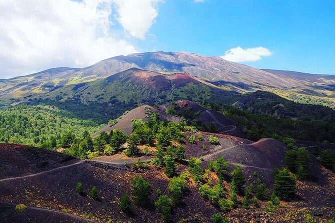 Tour Etna & Wine Tasting Private - The volcanic wine break: lunch, tasting, and a real cellar visit