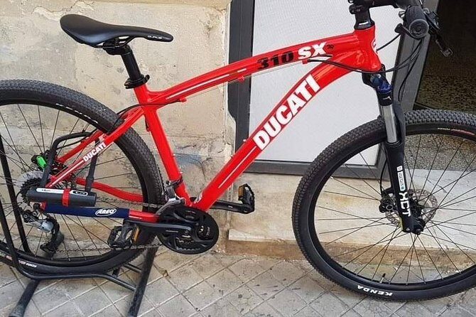 Tour in bike history Island Ortigia and archeological park Neapolis - The guide factor: Joe’s name shows up for a reason