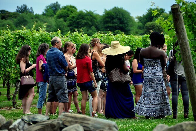 Tour of the Etna cellars, typical lunch and wine tasting - Price and what you’re really paying for at $252.33