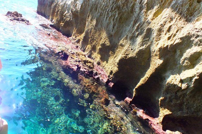 Tour of the island of Ortigia and exploration of sea caves with baths. - Small-Group Value: How $24.19 Turns Into Real Sightseeing