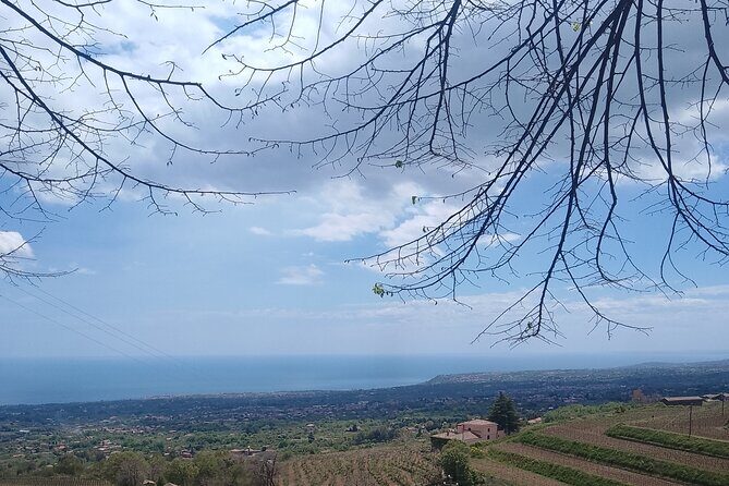 Tour two wineries of Etna wine tasting and lunch - Winery Stop 3 with Lunch: Sicilian Pairings and a Sommelier Finish