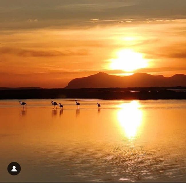 Trapani: Salt Pans Sunset Tour and Flamingo Way - How the Trapani hotel pickup sets the tone