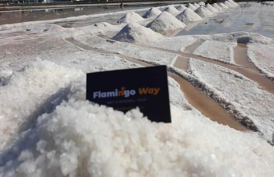 Trapani: Salt Pans Sunset Tour and Flamingo Way - Culcasi Salt Mine and the windmill museum feel