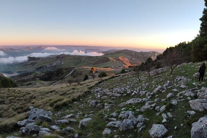 Truffle hunting in the Sicani mountains: a unique experience in Sicily - Price ($119.27): what you’re paying for and why it makes sense