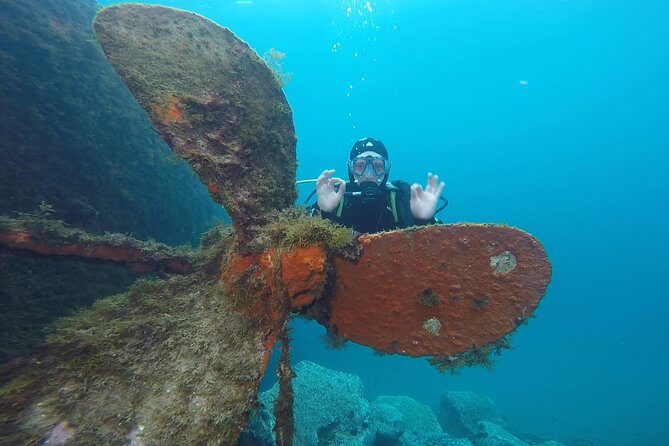Underwater Archaeology Course - PADI Card vs. PADI License Fee: Budgeting the Real Total