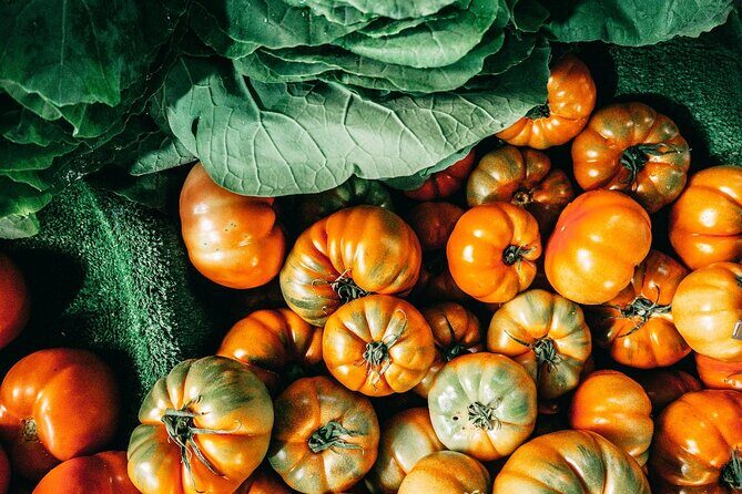 Vegan Cooking Class in Catania with Lunch and Dinner - Who This Vegan Cooking Class Is Best For