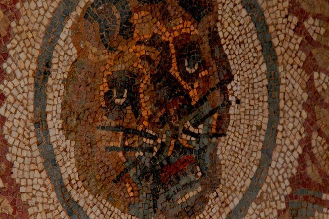 Villa Romana del Casale Mosaics Unesco Private Tour - Price and the €17 entrance ticket: the real value math