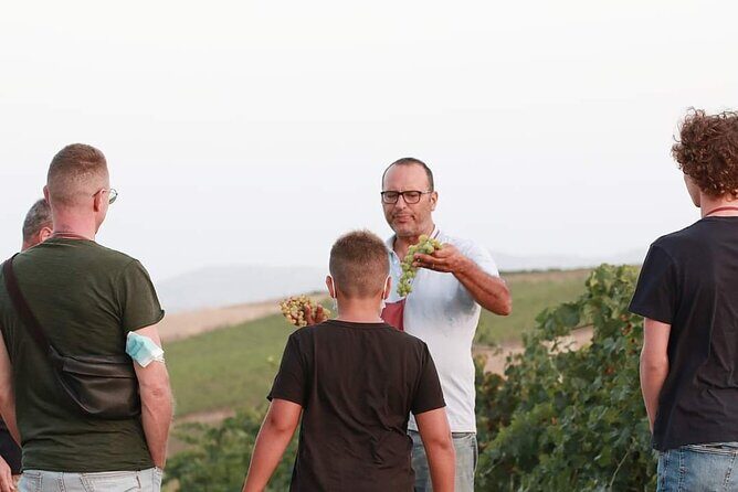 Wine Tour in the historic Baglio Florio Adamo with Lunch - Vineyard and olive grove walk: the agronomic part isn’t a formality