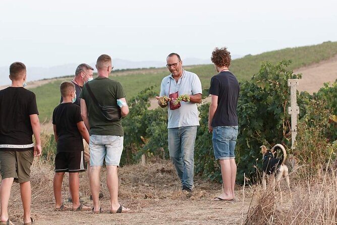 Wine Tour in the historic Baglio Florio Adamo with Lunch - Lunch of typical Sicilian products: the part that steals the show