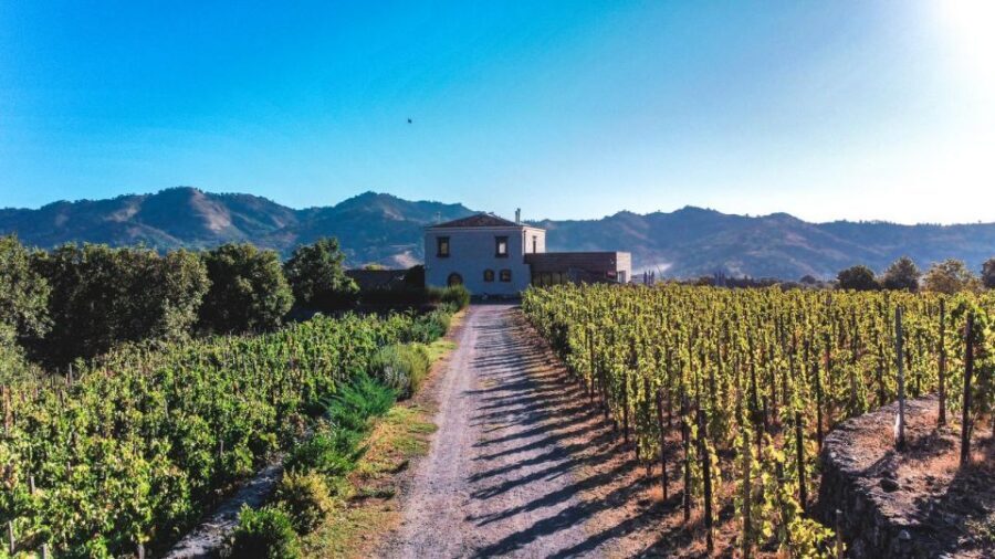 Wine tour with wine tasting - Key Things I’d Put on Your Radar