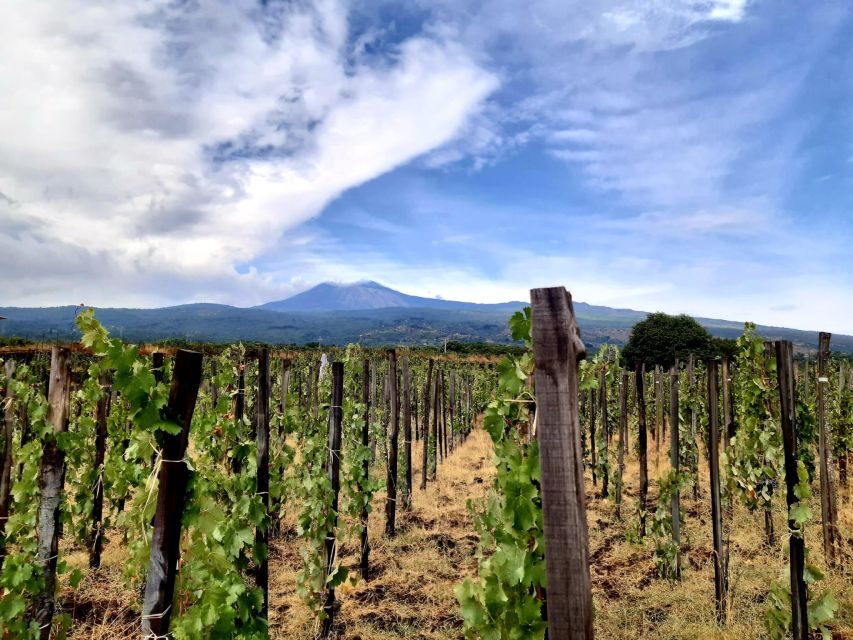 Wine tour with wine tasting - Practical Tips Before You Go