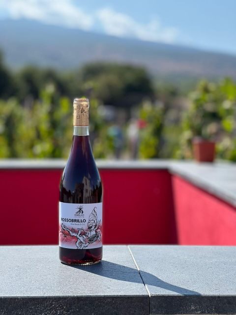 Wine tour with wine tasting - Vineyard Walk at the Foot of Etna: The Ad Alberello Moment