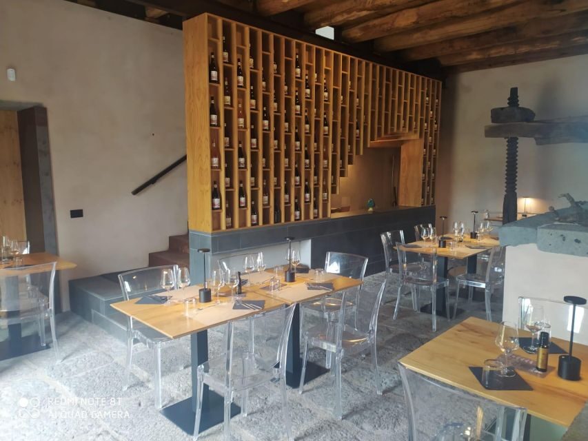 Wine tour with wine tasting - Technical Tasting of Four Wines: What You’ll Sip and Why