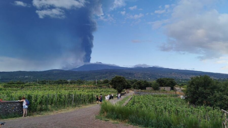 Wine tour with wine tasting - Bread and Etna Olive Oil Pairing: Simple, Local, Effective
