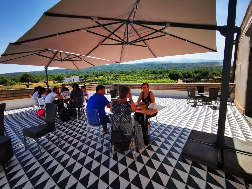 Wine tour with wine tasting - Price and Value: Is $34 Worth 100 Minutes?