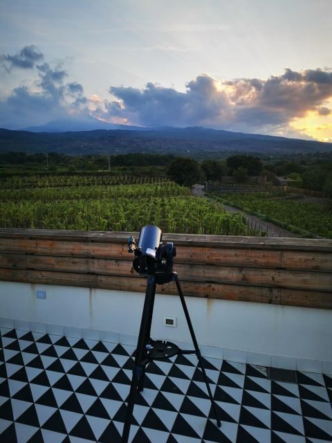 Wine tour with wine tasting - Who This Tour Suits Best (and Who Might Want Another Option)