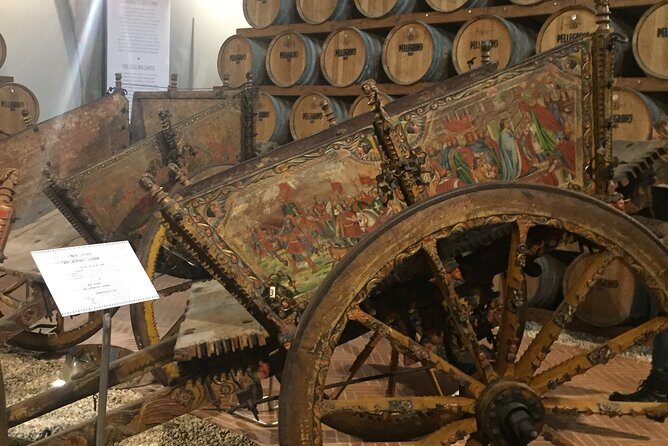 Winery tasting in Marsala and Mothia lagoon tour - Your guide and the small-group feel (Alessio’s touch)